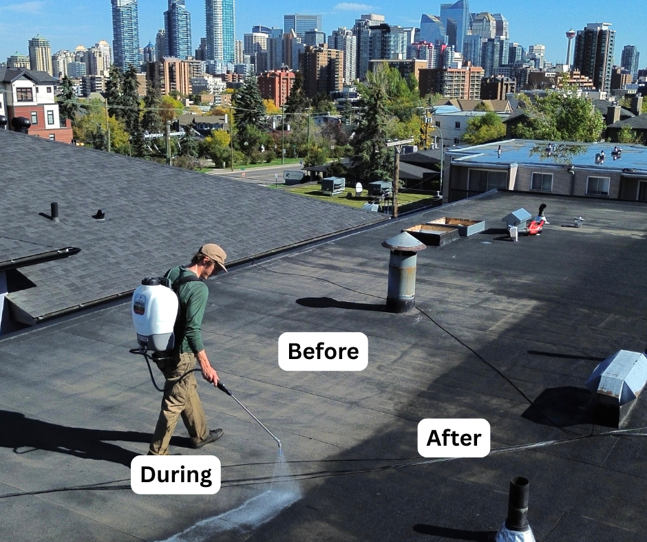 Flat commercial roof rejuvenation with Boston skyline